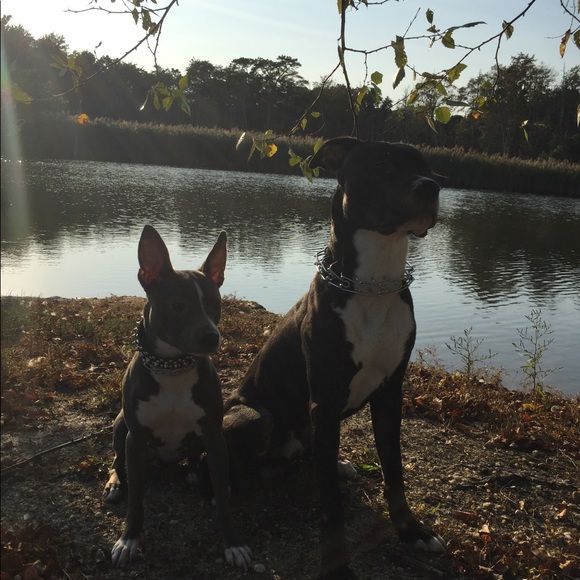 Meet your Posher, Sara Rose - Picture 2 of 12